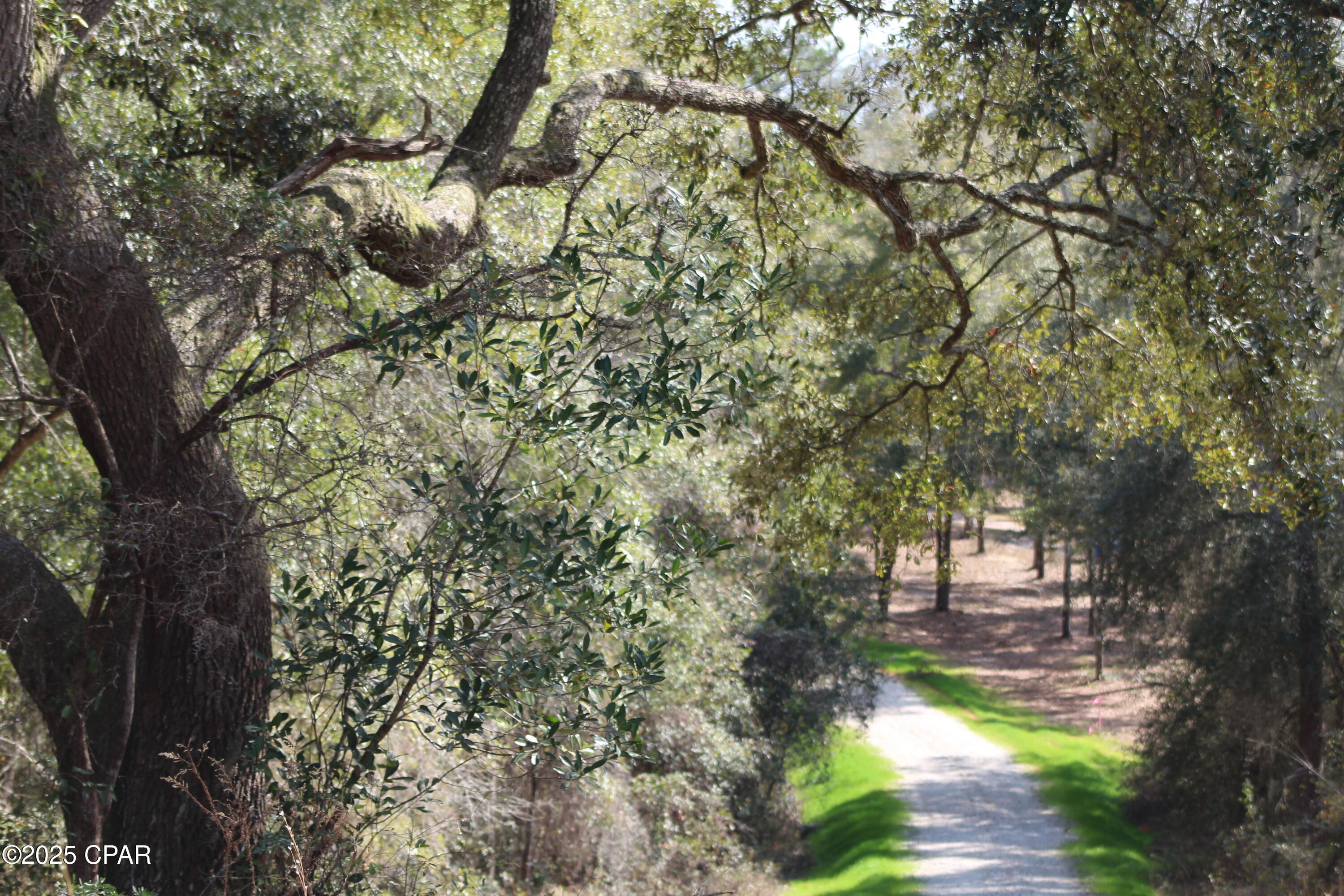 Lot 16 Bent Oaks Road Chipley, FL 32428 - Photo 6 of 17