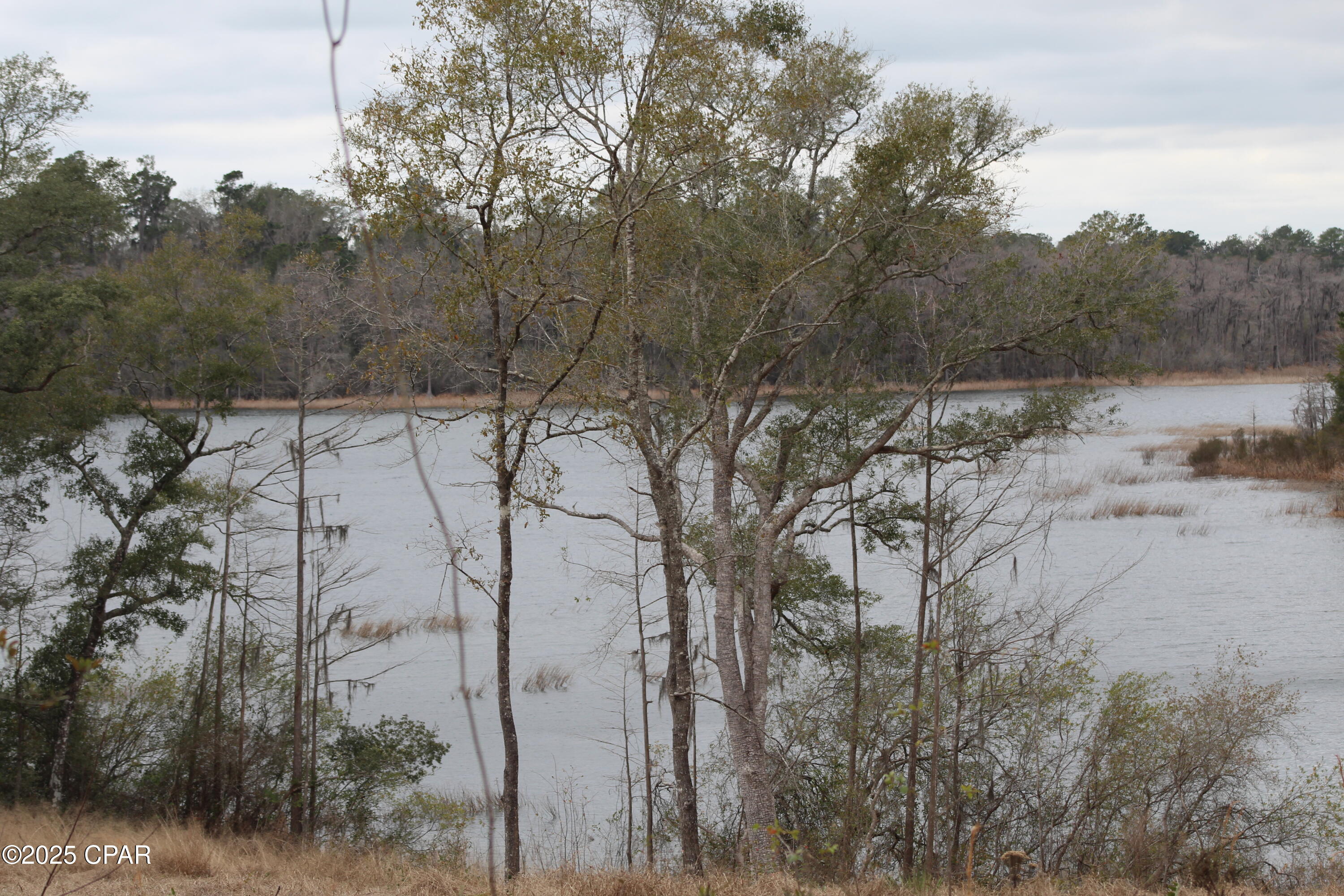 Lot 16 Bent Oaks Road Chipley, FL 32428 - Photo 7 of 17