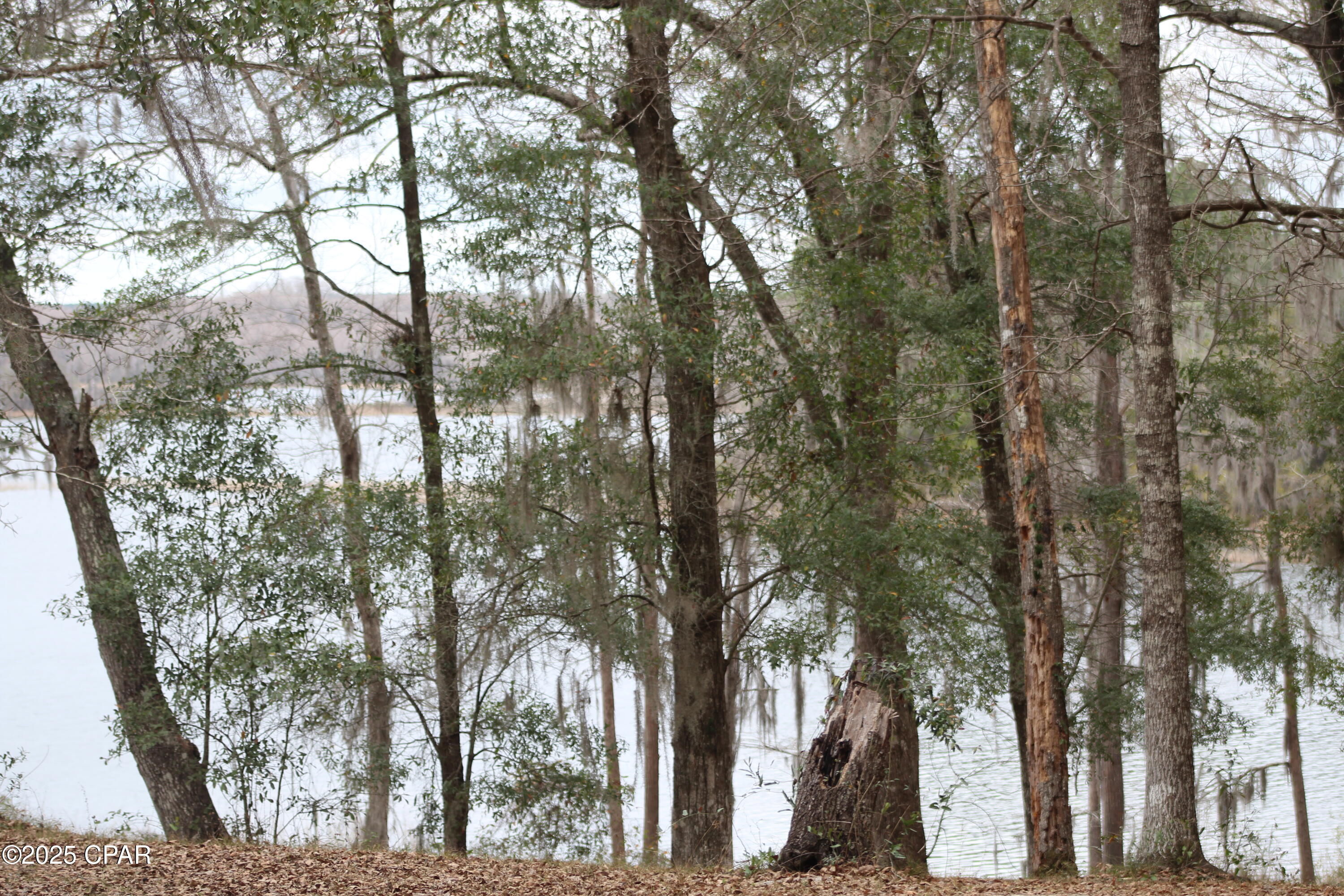 Lot 16 Bent Oaks Road Chipley, FL 32428 - Photo 8 of 17