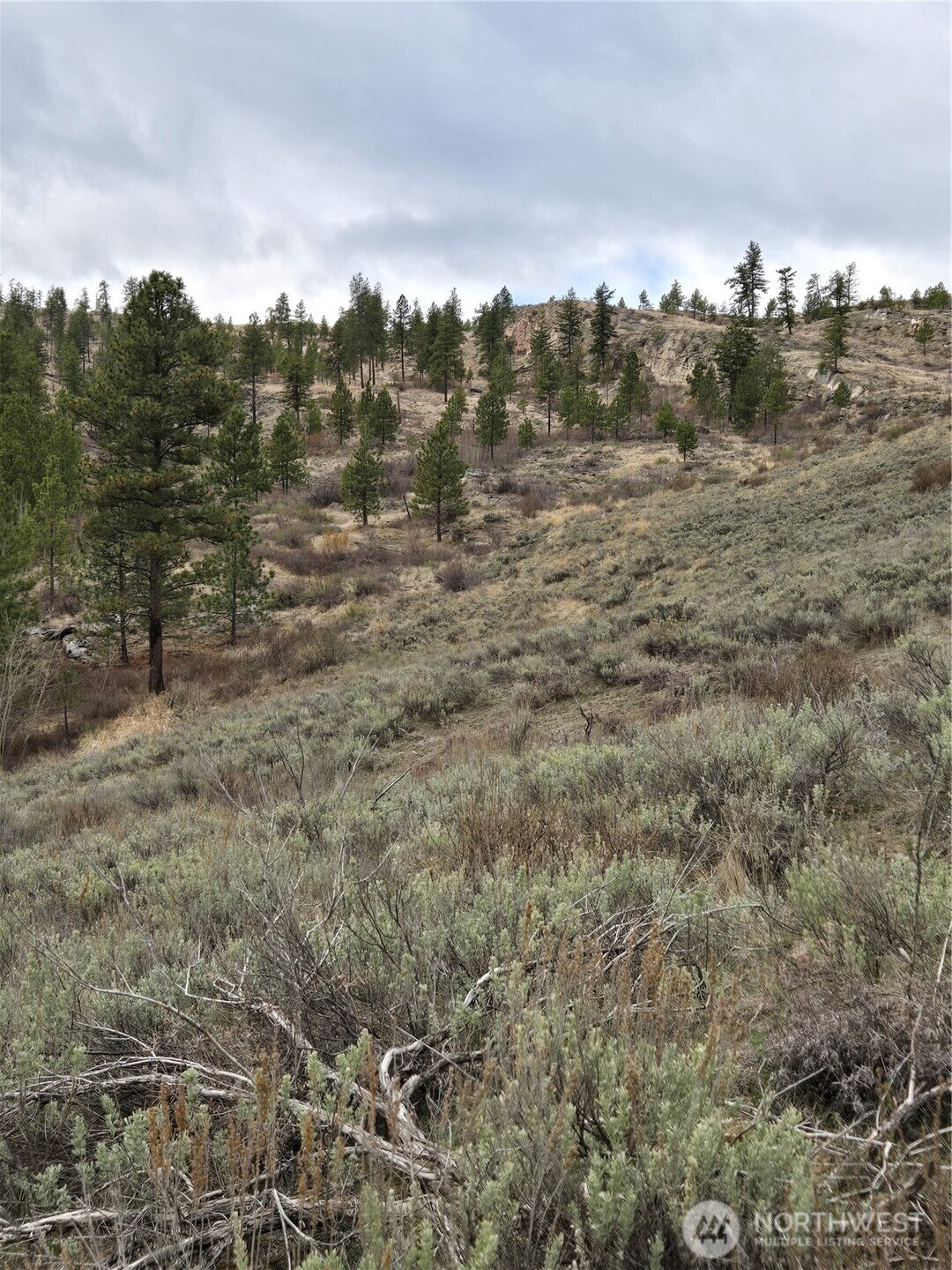 0 Twin Springs Road Riverside, WA 98849 - Photo 11 of 16