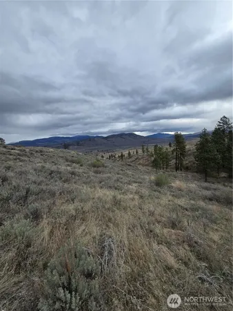 a view of a field with trees in background