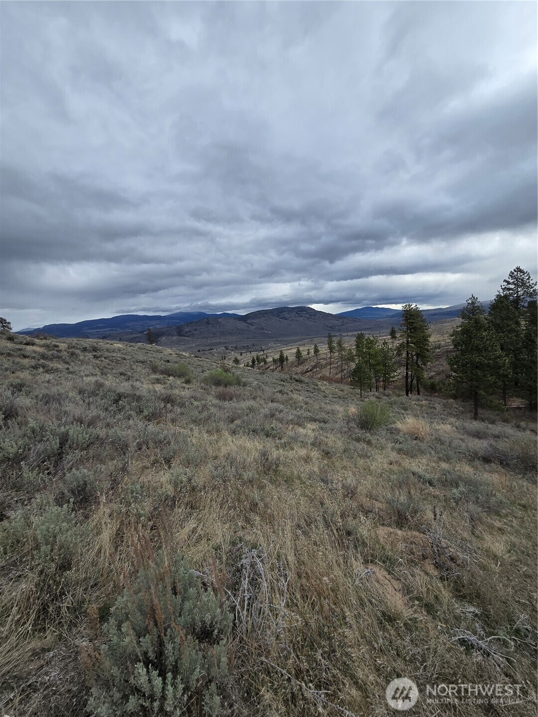 0 Twin Springs Road Riverside, WA 98849 - Photo 12 of 16