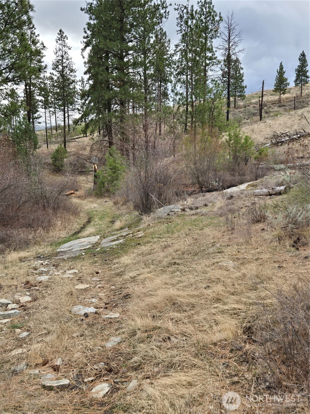 0 Twin Springs Road Riverside, WA 98849 - Photo 14 of 16