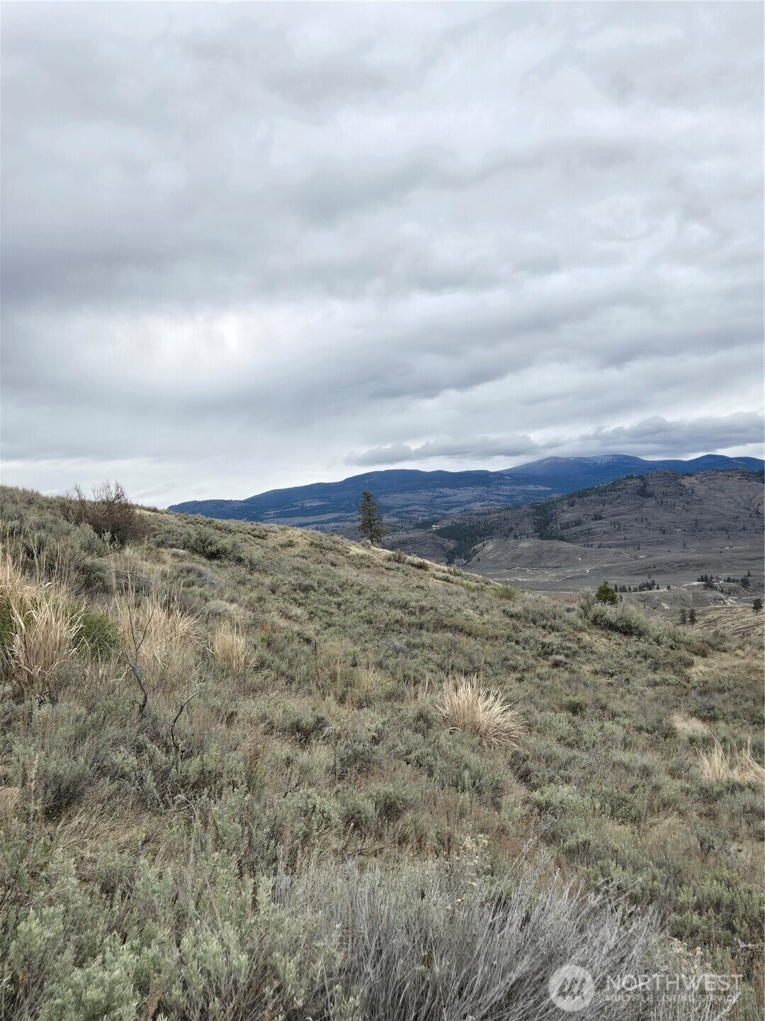 0 Twin Springs Road Riverside, WA 98849 - Photo 15 of 16