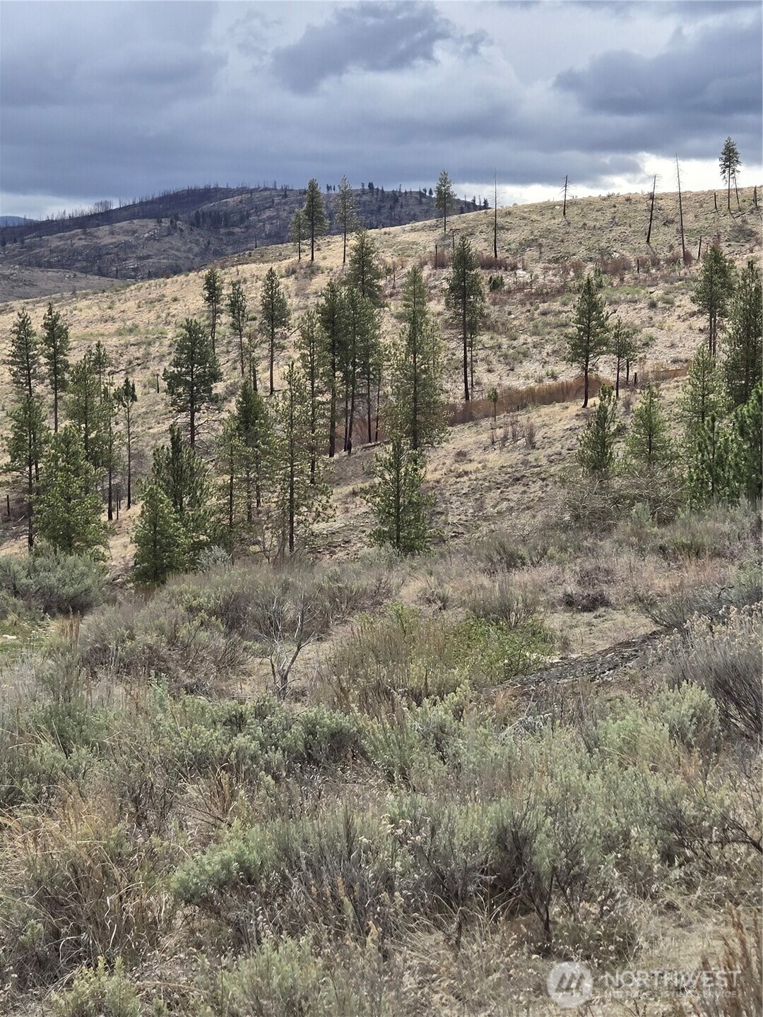 0 Twin Springs Road Riverside, WA 98849 - Photo 16 of 16