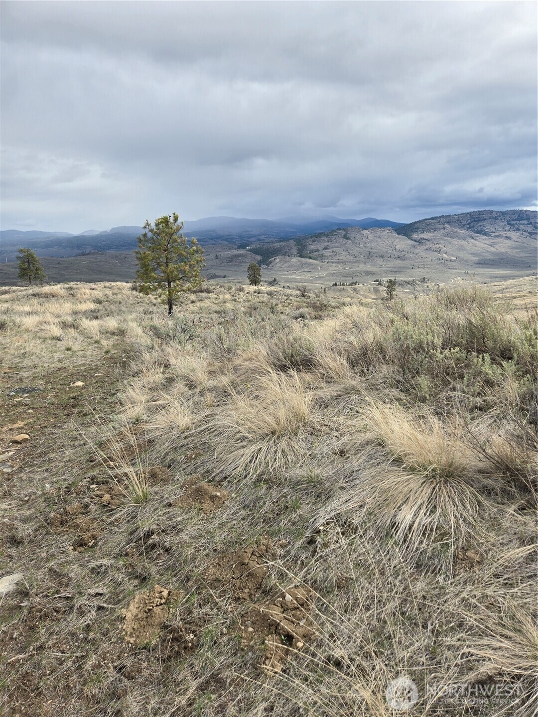 0 Twin Springs Road Riverside, WA 98849 - Photo 2 of 16