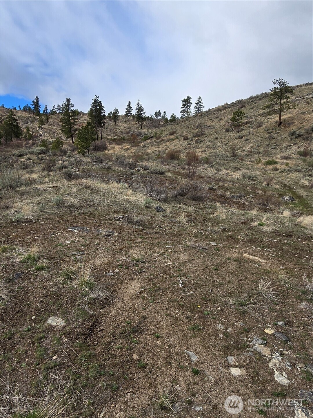 0 Twin Springs Road Riverside, WA 98849 - Photo 3 of 16