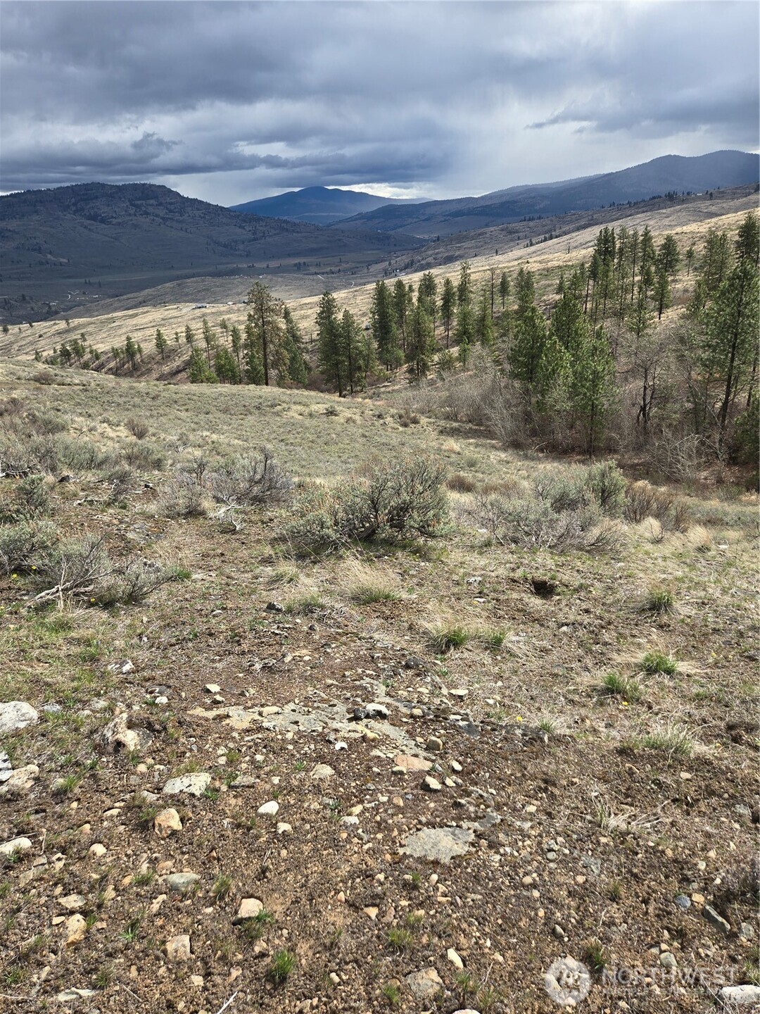 0 Twin Springs Road Riverside, WA 98849 - Photo 4 of 16