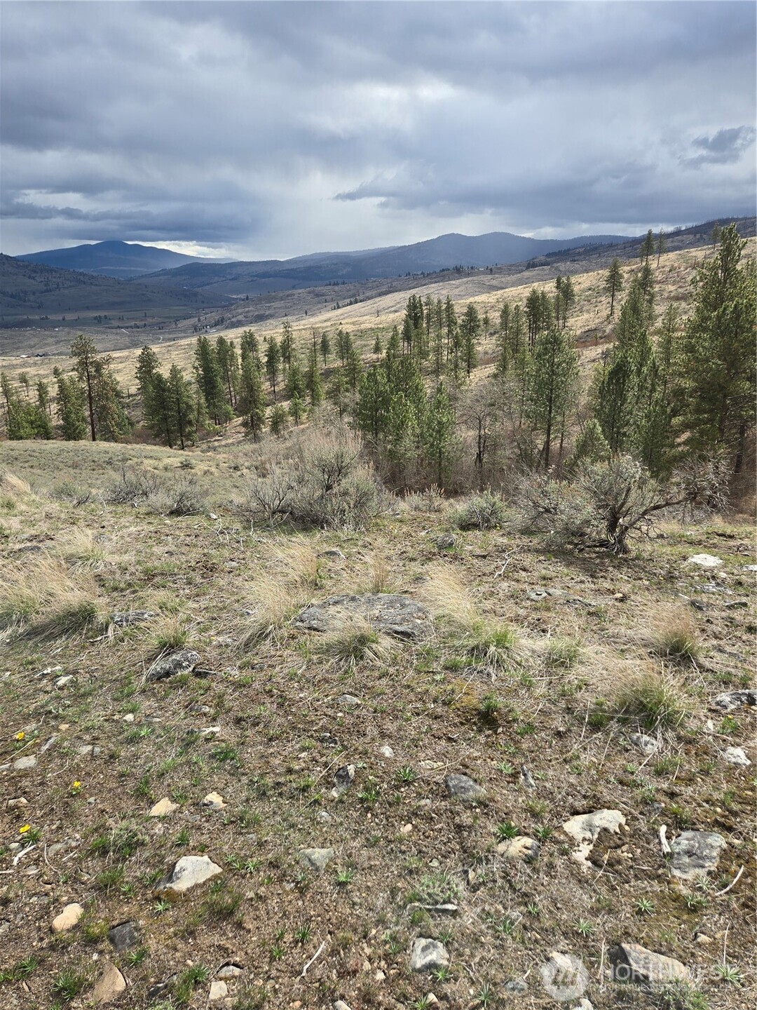 0 Twin Springs Road Riverside, WA 98849 - Photo 6 of 16