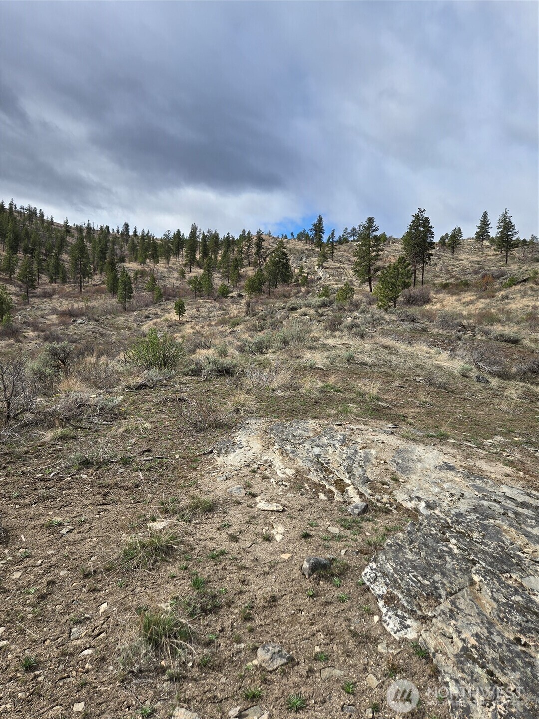 0 Twin Springs Road Riverside, WA 98849 - Photo 8 of 16