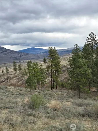 a view of a yard with wooden fence