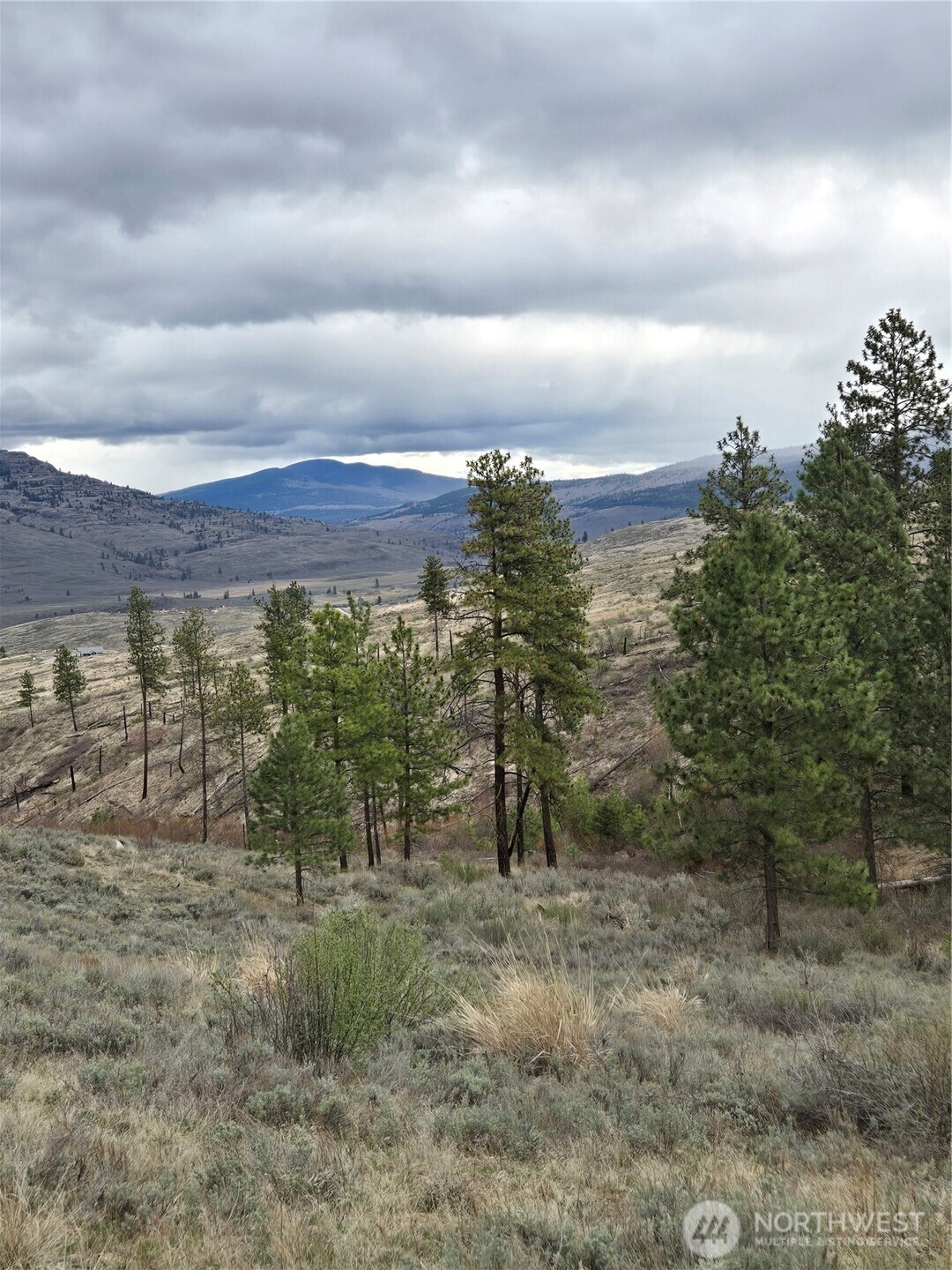 0 Twin Springs Road Riverside, WA 98849 - Photo 9 of 16