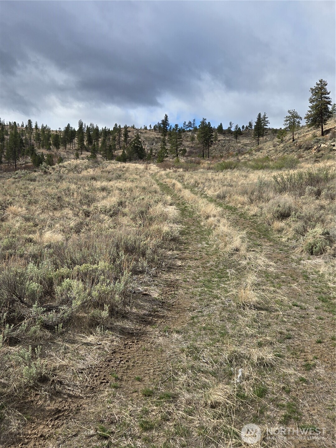 0 Twin Springs Road Riverside, WA 98849 - Photo 10 of 16