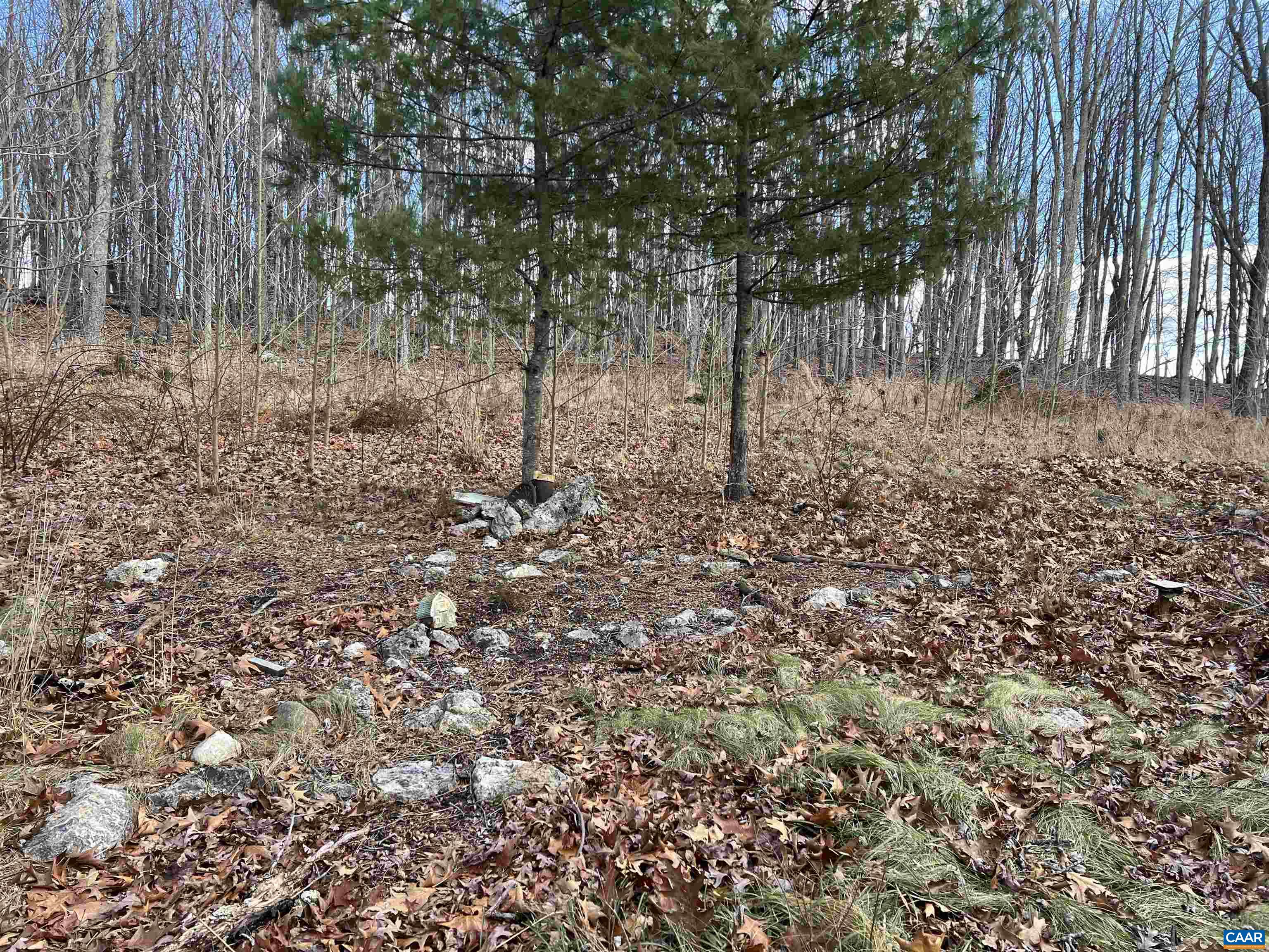 665 Carson Mill Road Steeles Tavern, VA 24476 - Photo 47 of 51 Gallery Image 47