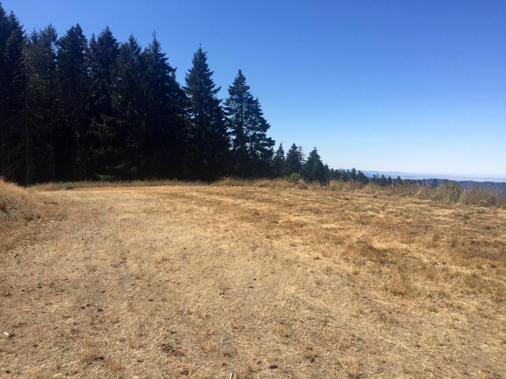 40-acres Liscom Hill Road Eureka, CA 95503 - Photo 3 of 8