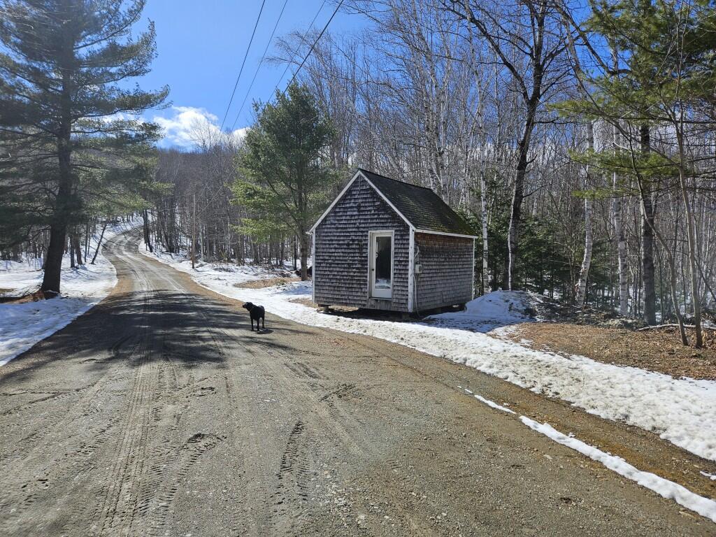 262 Mitchell Brook Road Temple, ME 04984 - Photo 32 of 65 Driveway with shed