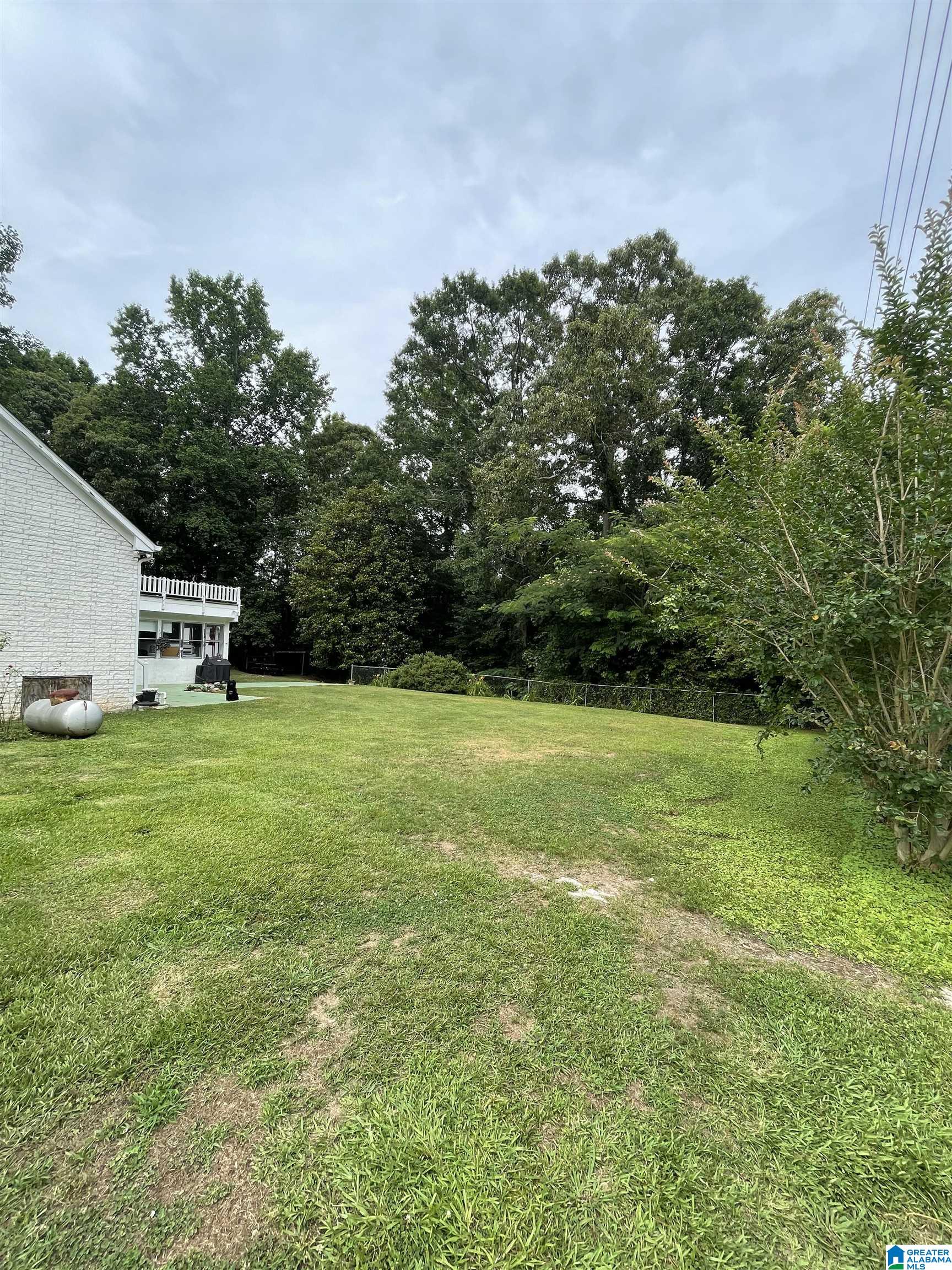 357 Cauthen Circle Roanoke, AL 36274 - Photo 8 of 46