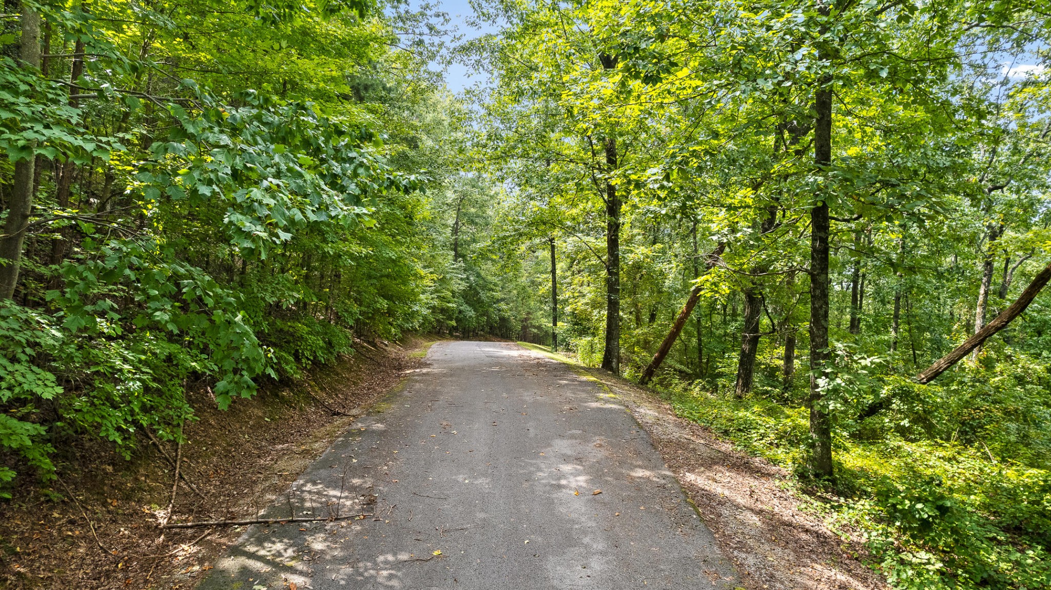 0 Bluffs N Road Guild, TN 37340 - Photo 12 of 21