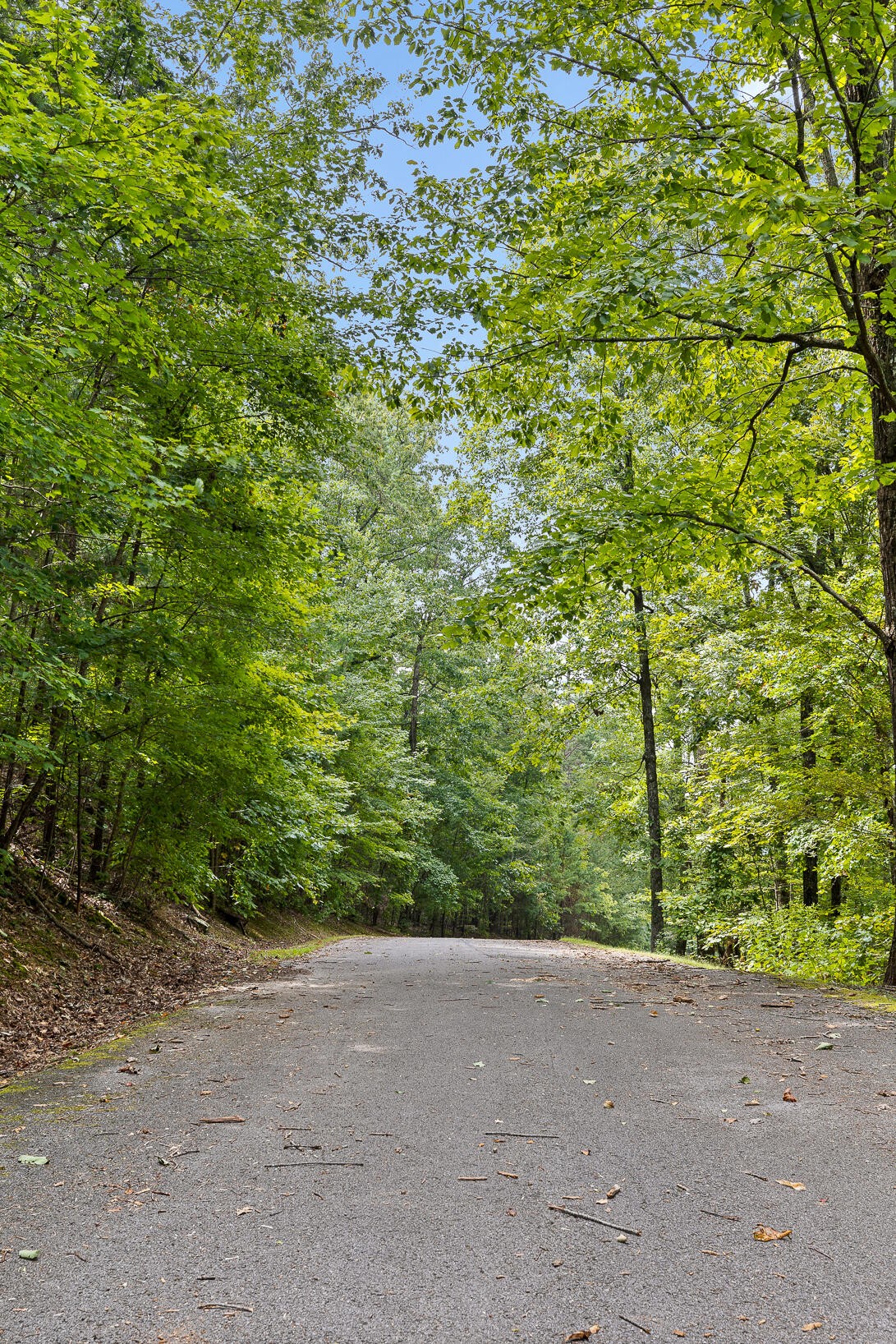 0 Bluffs N Road Guild, TN 37340 - Photo 13 of 21