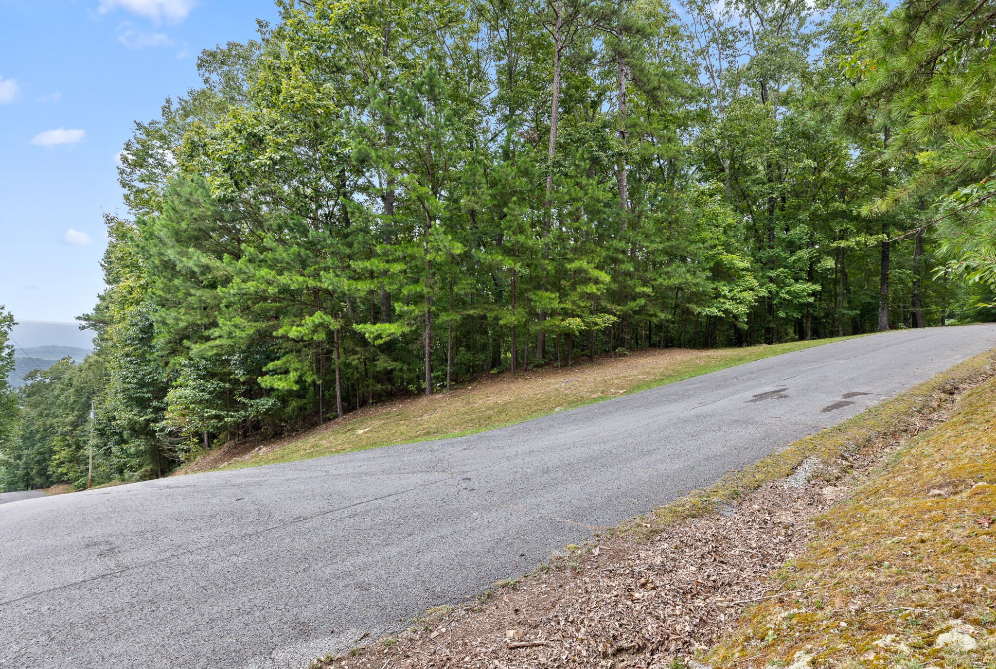 0 Bluffs N Road Guild, TN 37340 - Photo 17 of 21