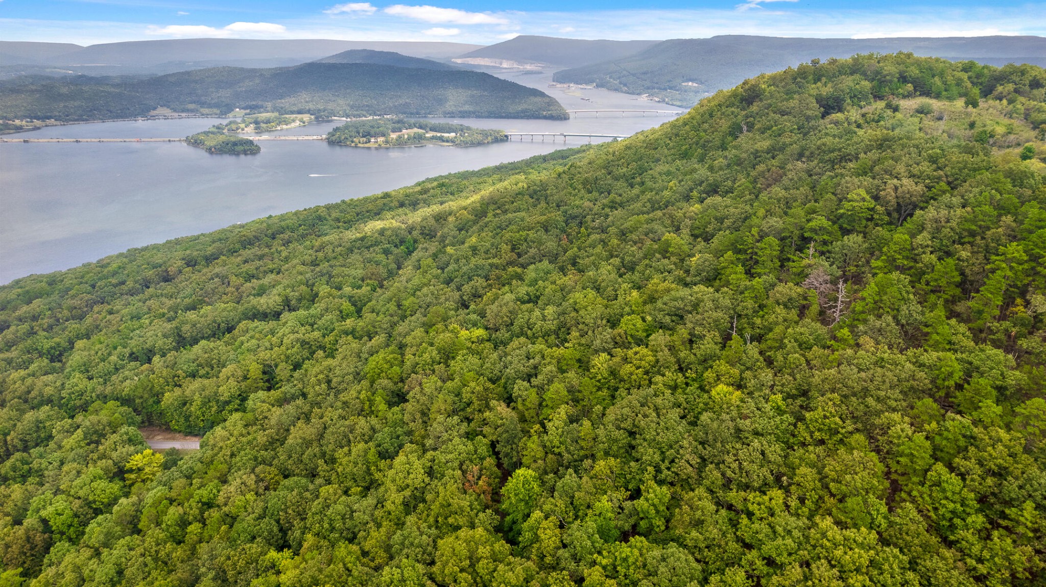 0 Bluffs N Road Guild, TN 37340 - Photo 2 of 21