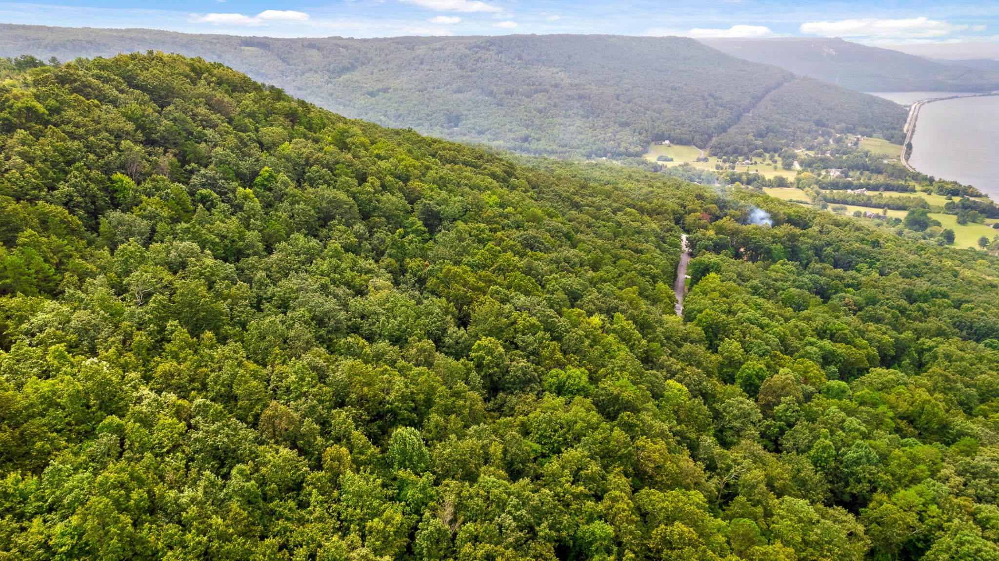 0 Bluffs N Road Guild, TN 37340 - Photo 7 of 21