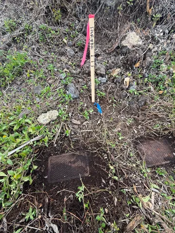 a flag is sitting in the middle of a forest