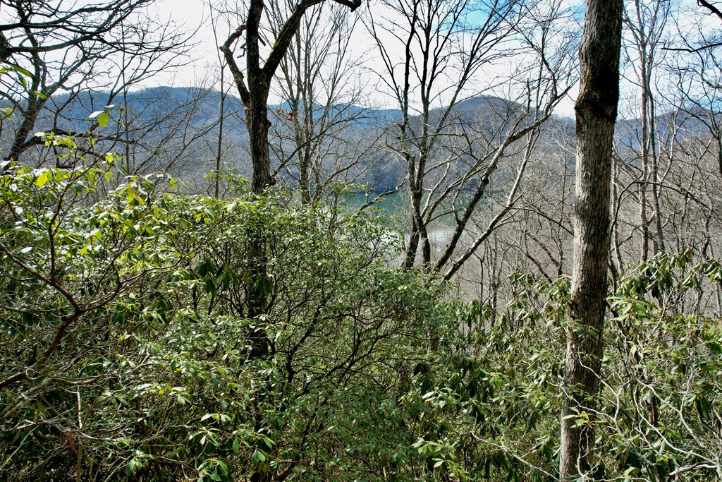 Lot 14 Holly Ridge Road Topton, NC 28781 - Photo 6 of 8