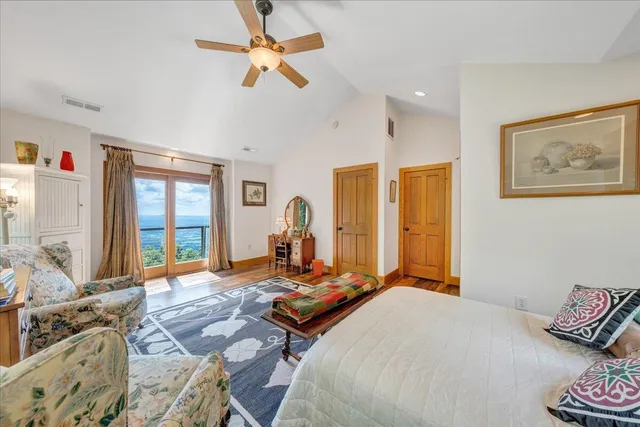 a view of a lush green forest with trees and grass