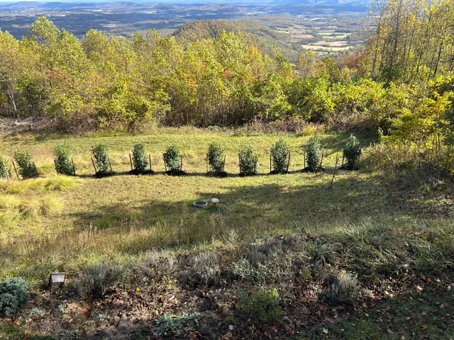 $1,100,000 | 490 Lookout Ridge Lane, Copper Hill, VA 24079