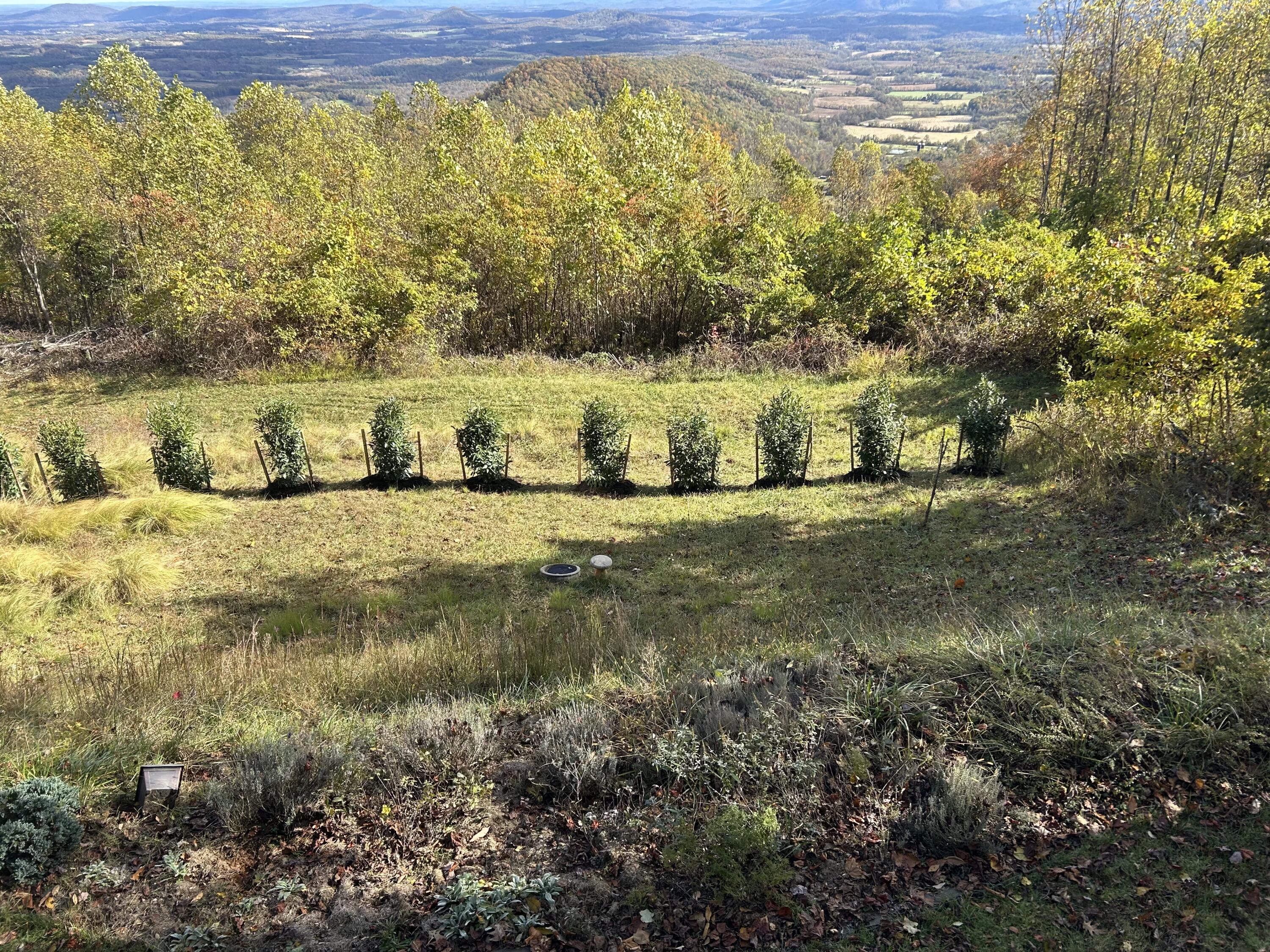 490 Lookout Ridge Lane Copper Hill, VA 24079 - Photo 66 of 69 a view of a lake view