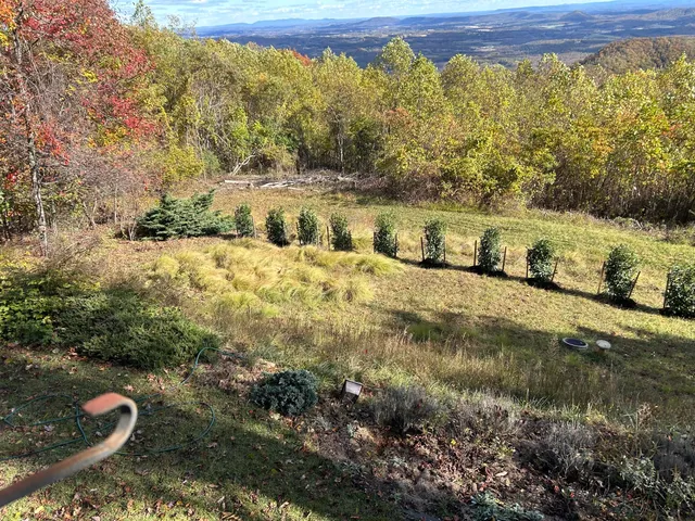 $1,100,000 | 490 Lookout Ridge Lane, Copper Hill, VA 24079