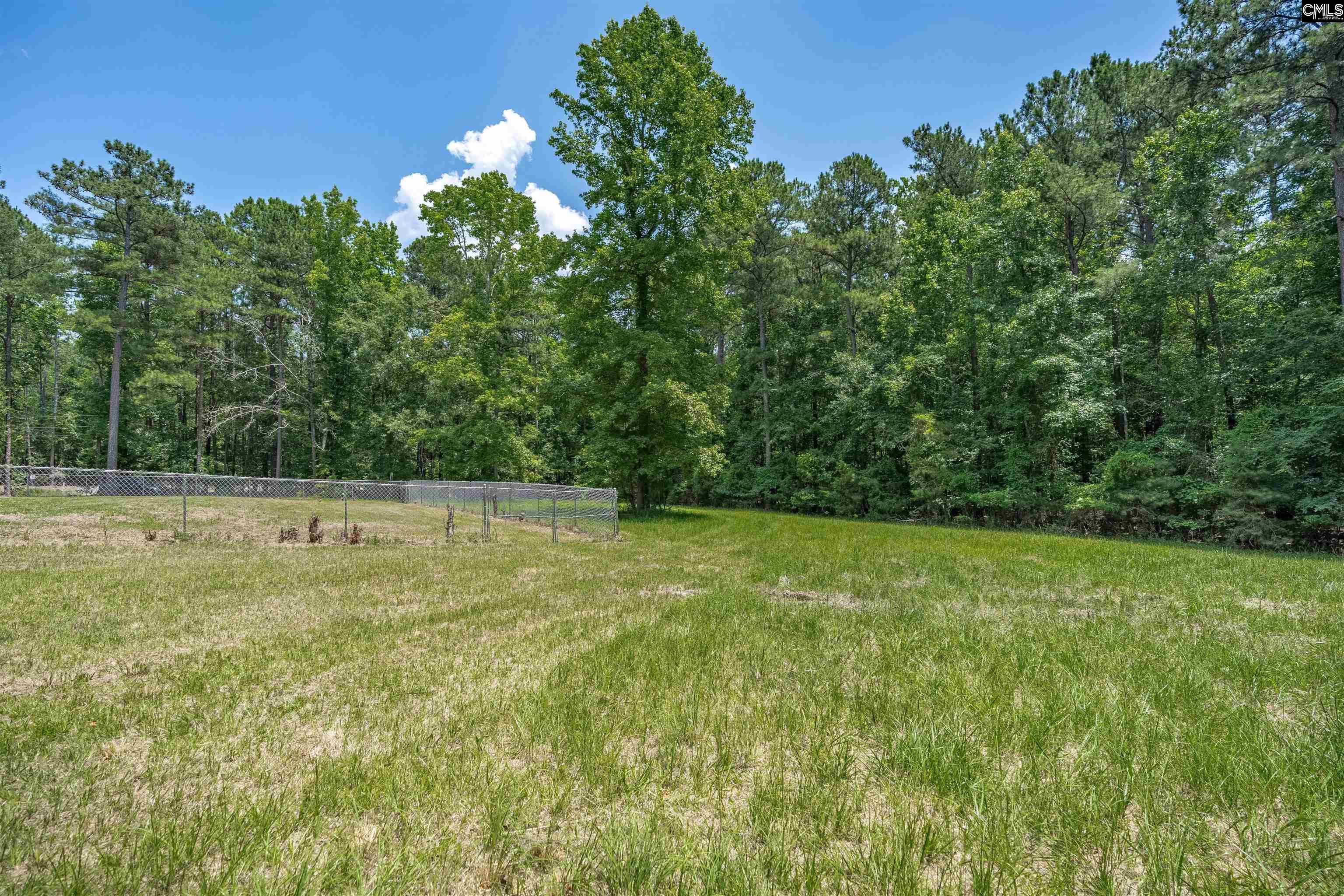 131 Mule Trail Gilbert, SC 29054 - Photo 63 of 65
