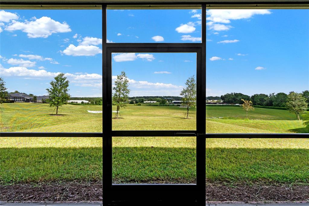 2575 Park Ridge Street Apopka, FL 32712 - Photo 40 of 56 Unobstructed views!