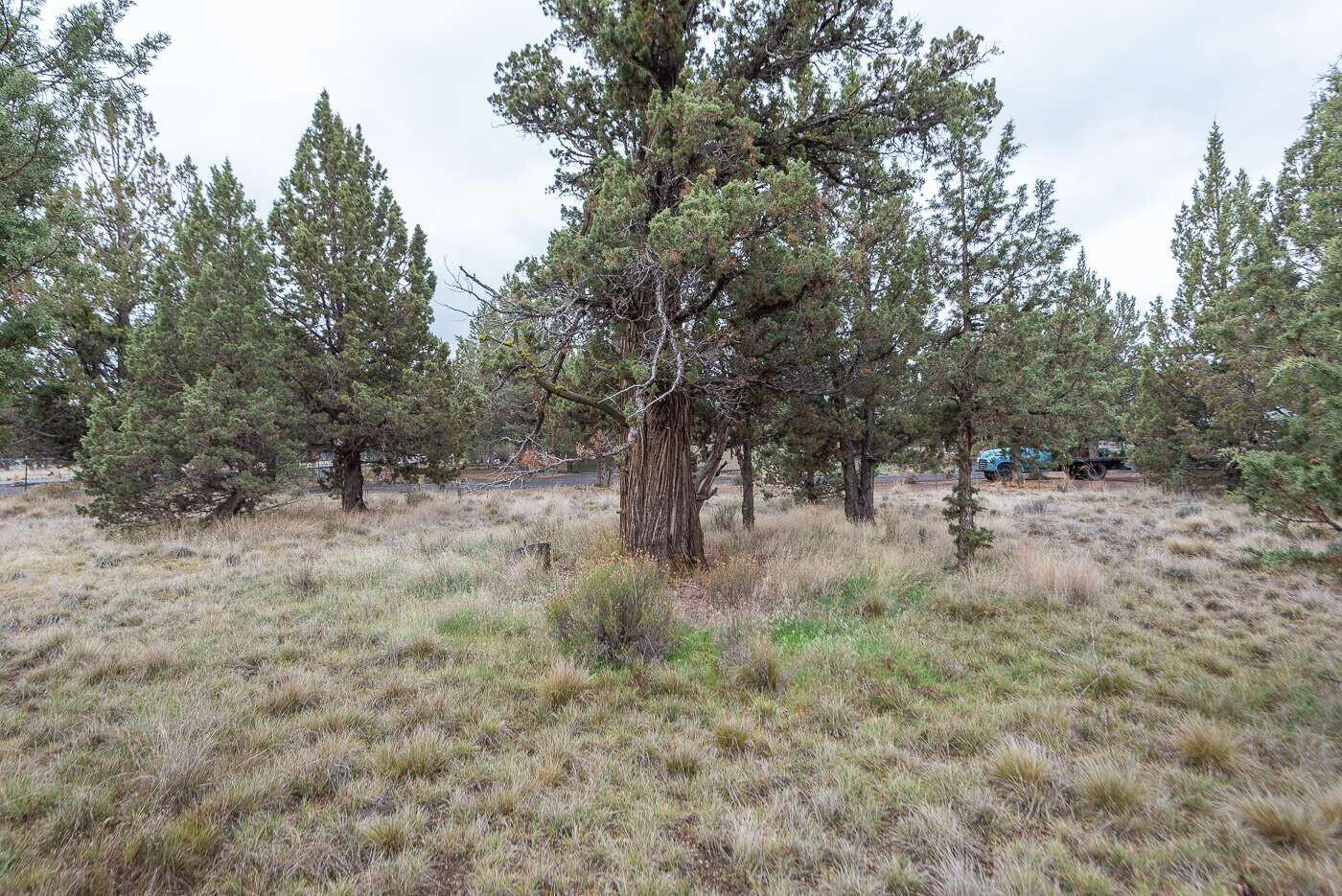 3100 Southeast Klamath Road Prineville, OR 97754 - Photo 16 of 34 Ostler.16