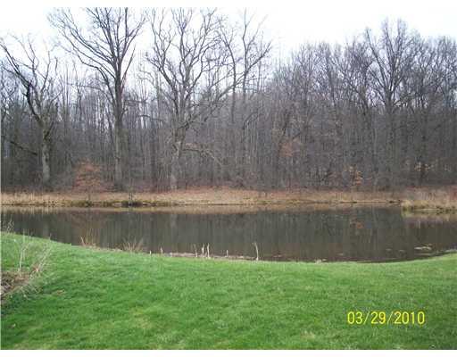 1111 Rutledge Road Transfer, PA 16154 - Photo 17 of 18 Other. spring fed pond