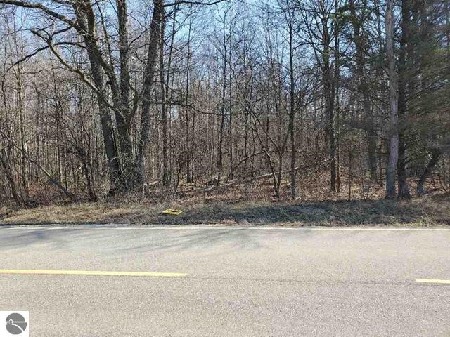 South Magruder Road Shepherd, MI 48883 - Photo 6 of 6