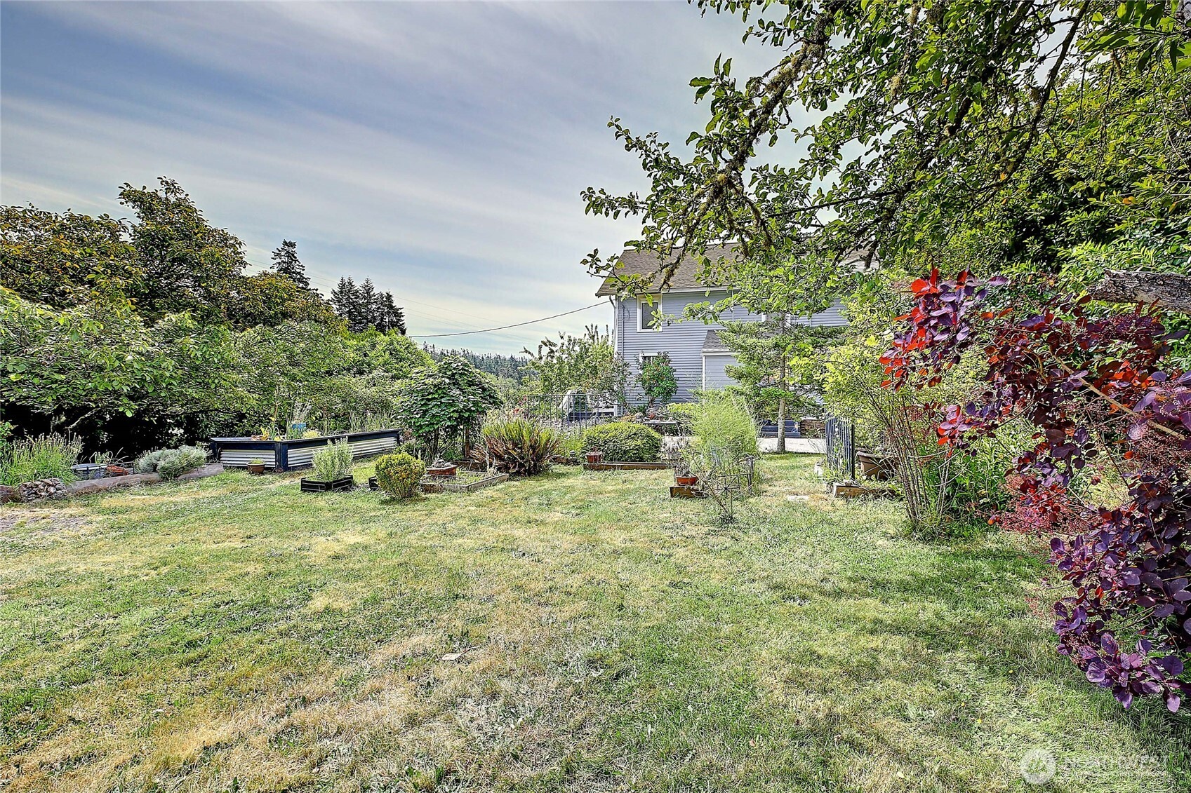 522 Chapman Road Camano Island, WA 98282 - Photo 24 of 26 a fire hydrant in the middle of a field