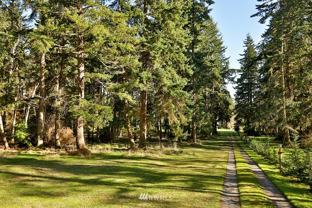 3835 Resort Road Greenbank, WA 98253 - Photo 2 of 25 Gallery Image 2