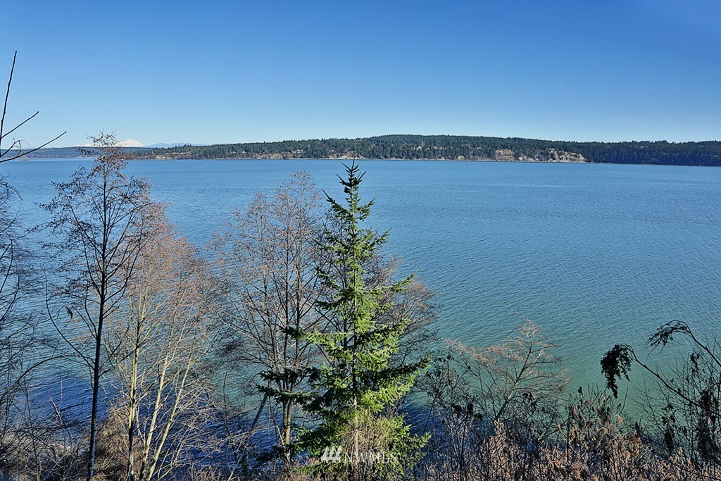 3835 Resort Road Greenbank, WA 98253 - Photo 19 of 25 Gallery Image 19