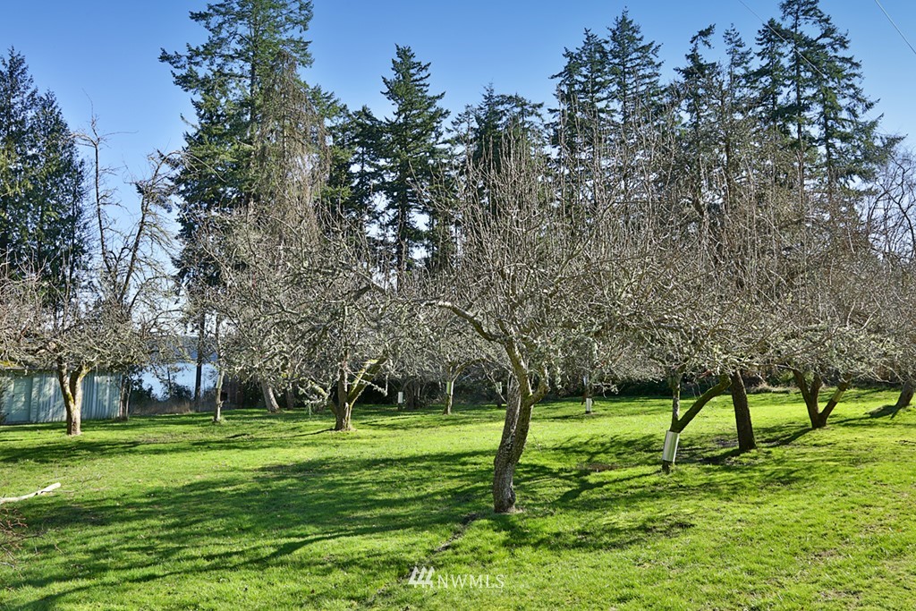 3835 Resort Road Greenbank, WA 98253 - Photo 24 of 25 Gallery Image 24