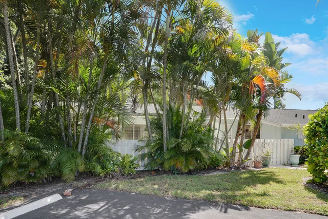 a view of a backyard with plants and large trees