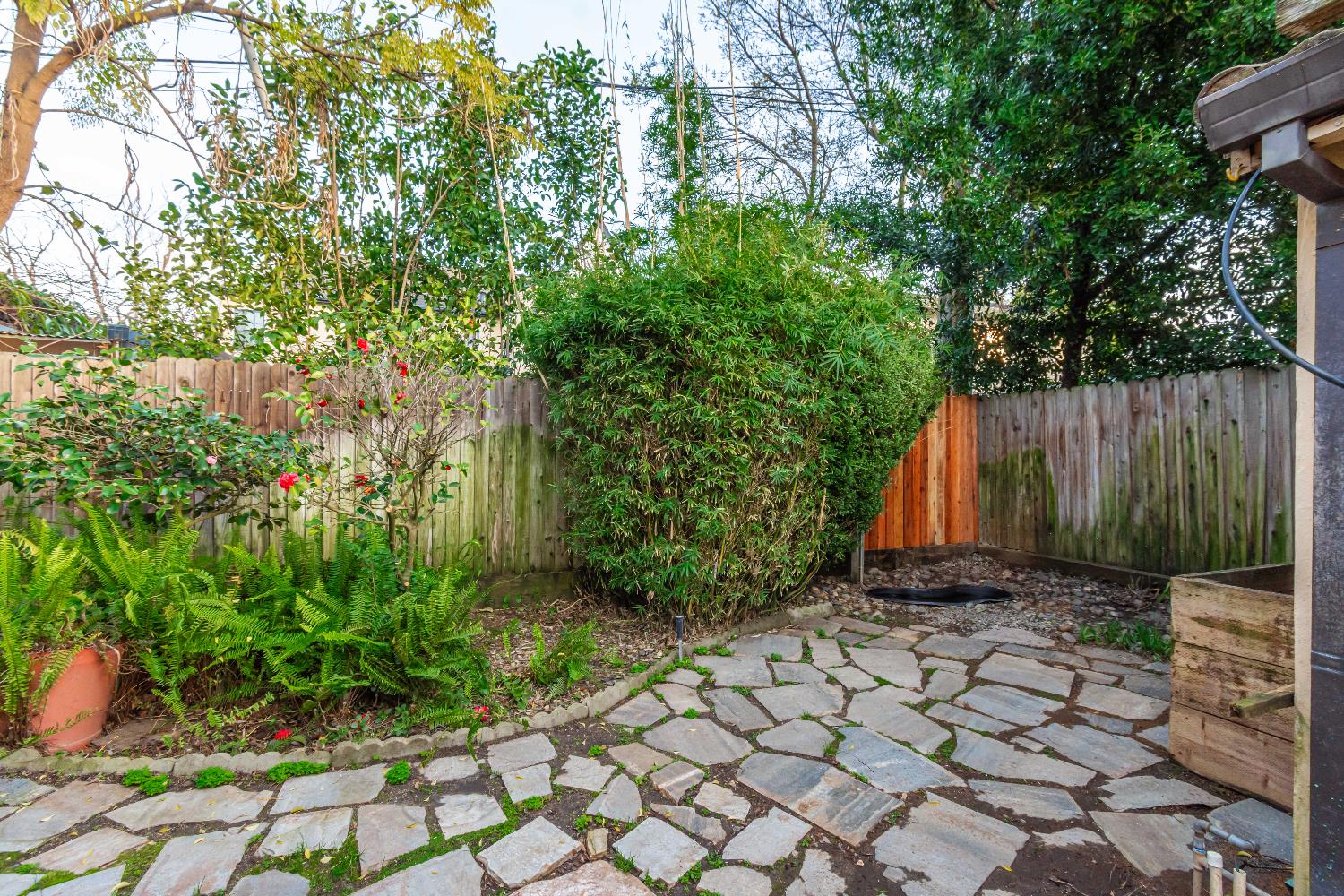 151 Coloma Way Sacramento, CA 95819 - Photo 26 of 28 a backyard of a house with lots of green space