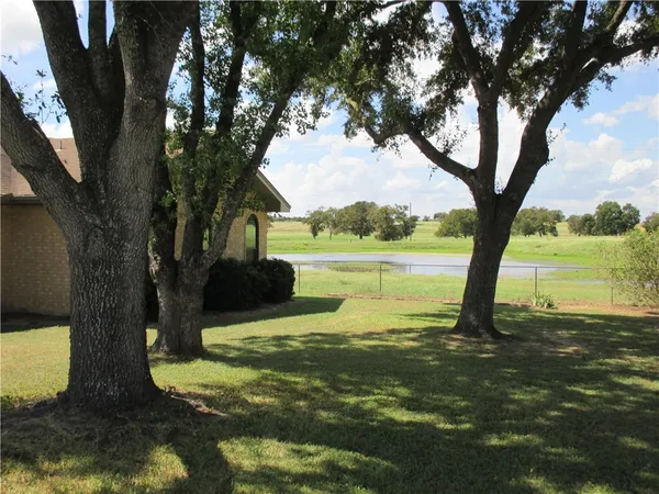 a view of a lake with a tree