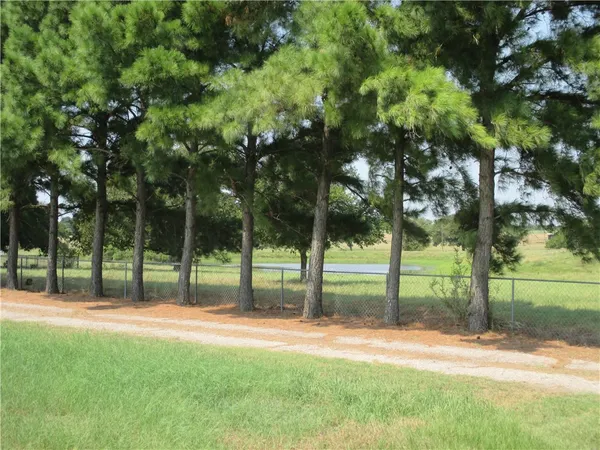 a view of a yard with palm tree