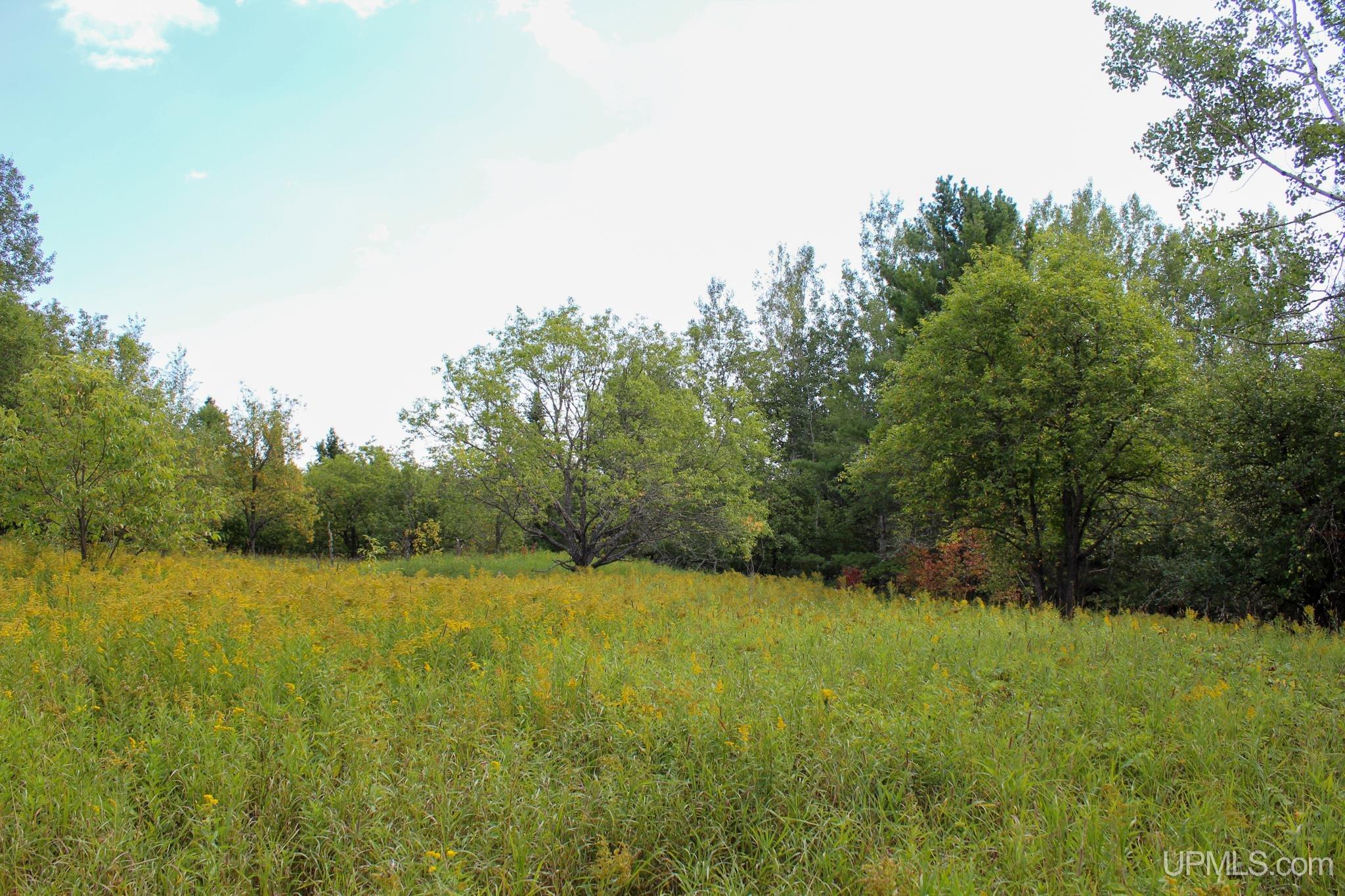 Tbd Michaelson Road Pelkie, MI 49958 - Photo 14 of 73 Gallery Image 14