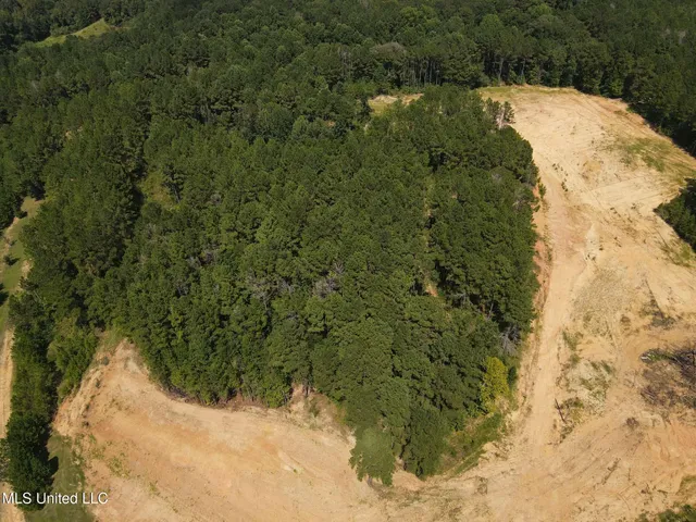 $210,000 | David Britt Street, Wesson, MS 39191