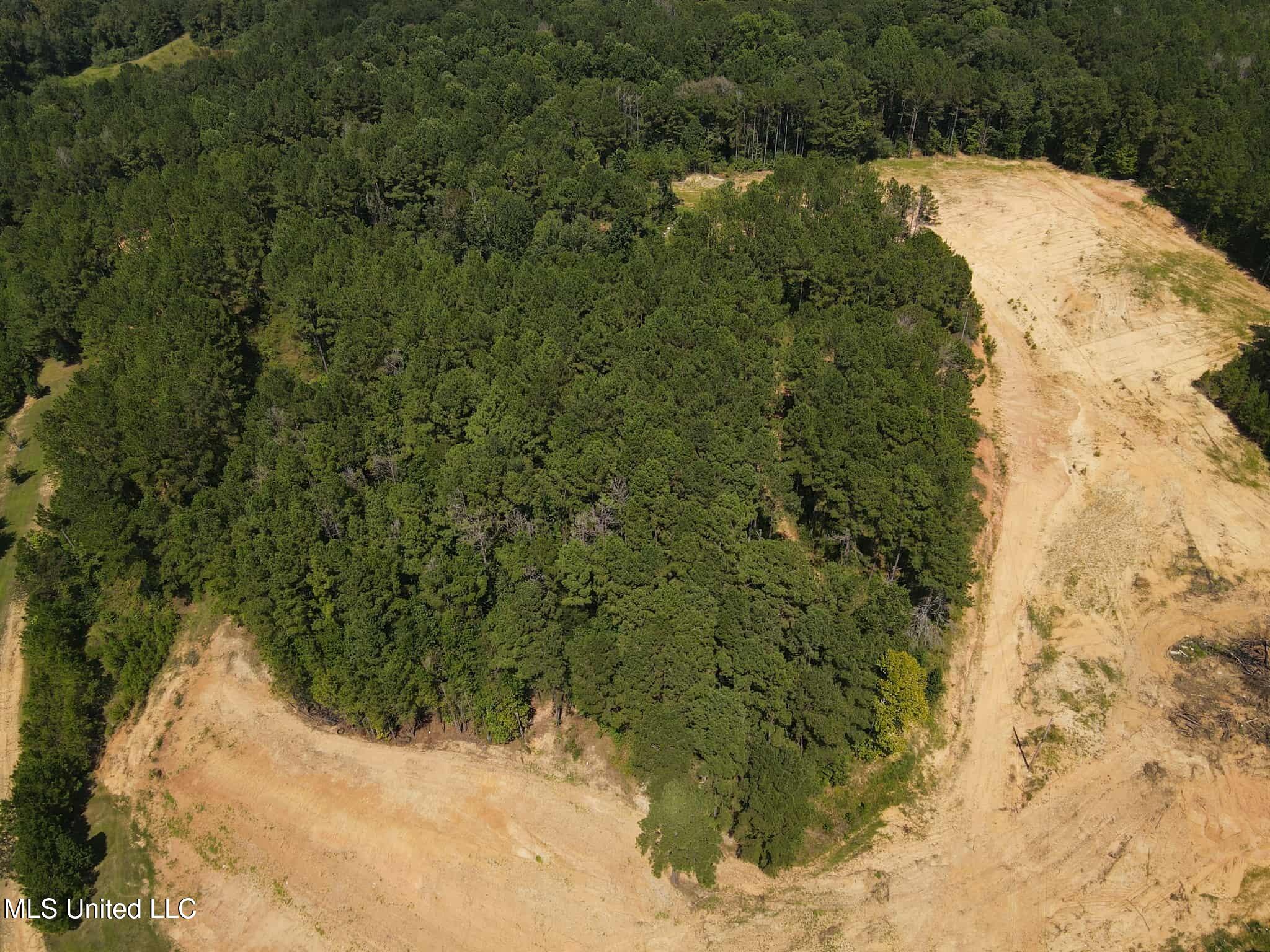 David Britt Street Wesson, MS 39191 - Photo 14 of 42 33274