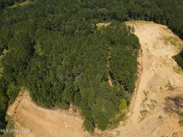 $210,000 | David Britt Street, Wesson, MS 39191