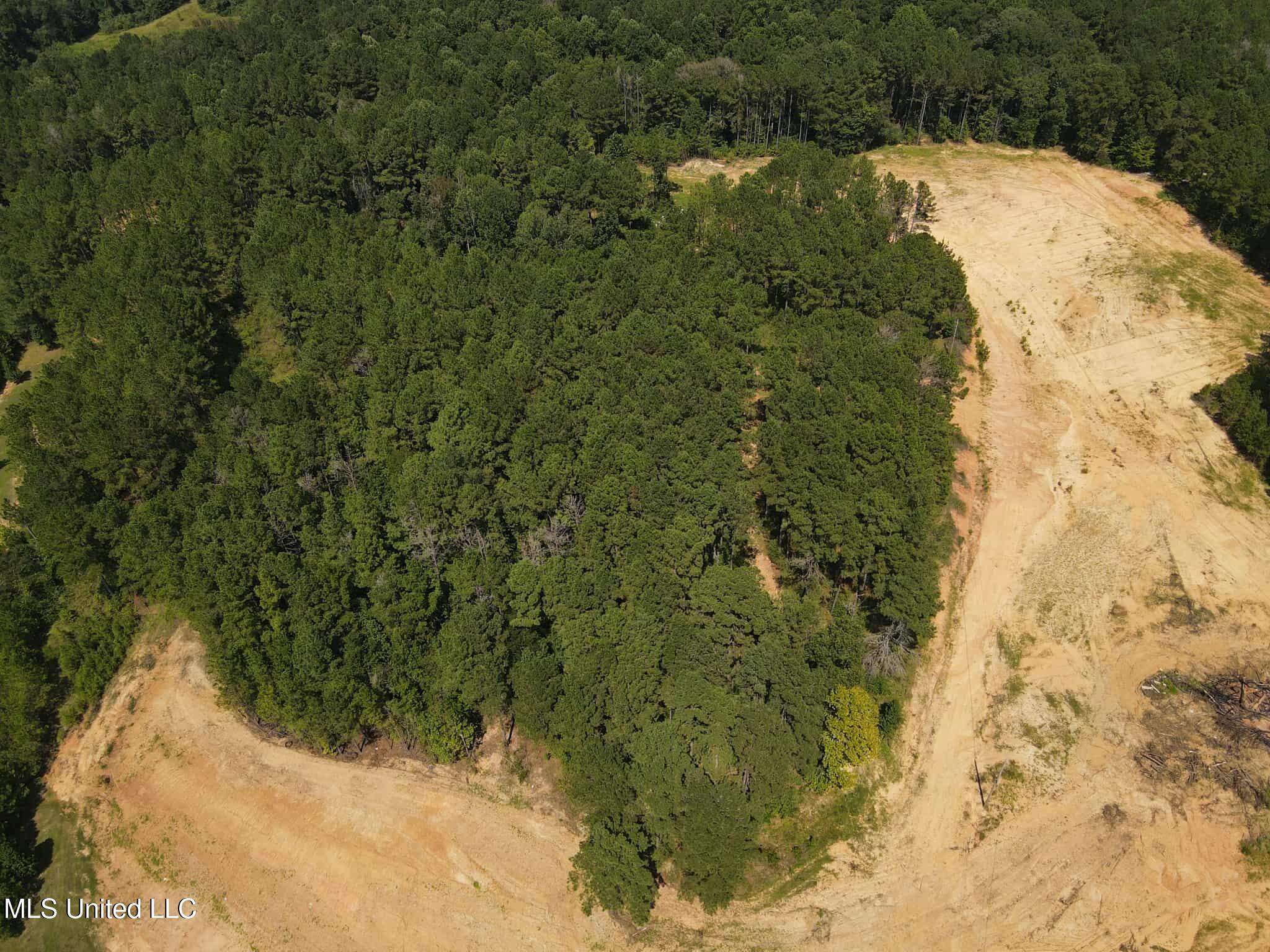 David Britt Street Wesson, MS 39191 - Photo 16 of 42 33276